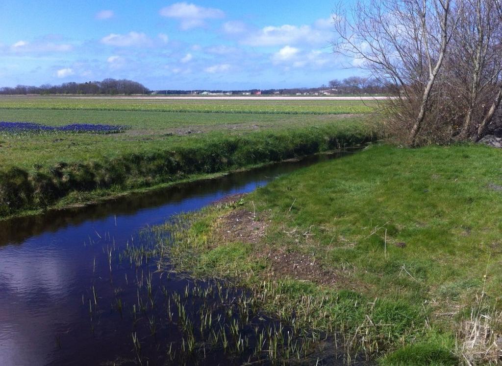 Strand49 Glamping Sint Maartenszee Sint Maartensvlotbrug Экстерьер фото